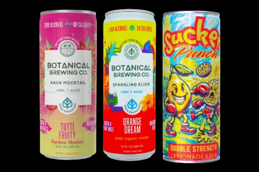 Botanical Brewing Company Orange Dream kava cans