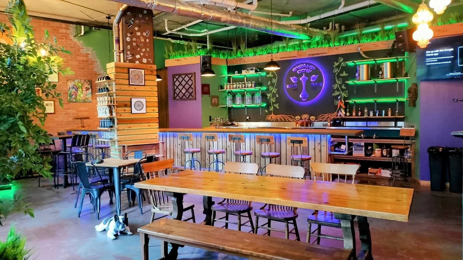 Inside or outside Swamp Cow Kava Lounge