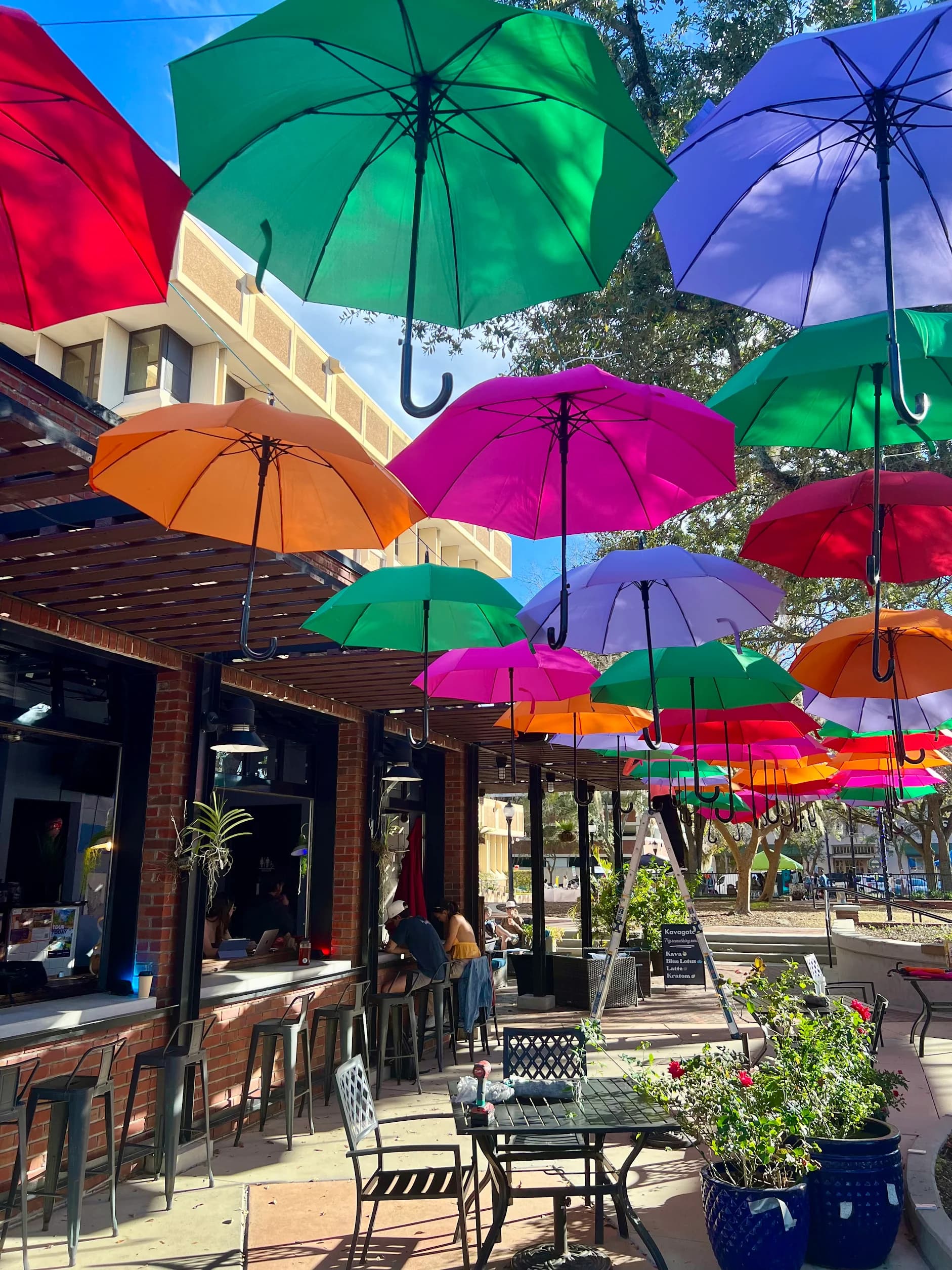 Inside or outside Kava Gator Coffee Shop