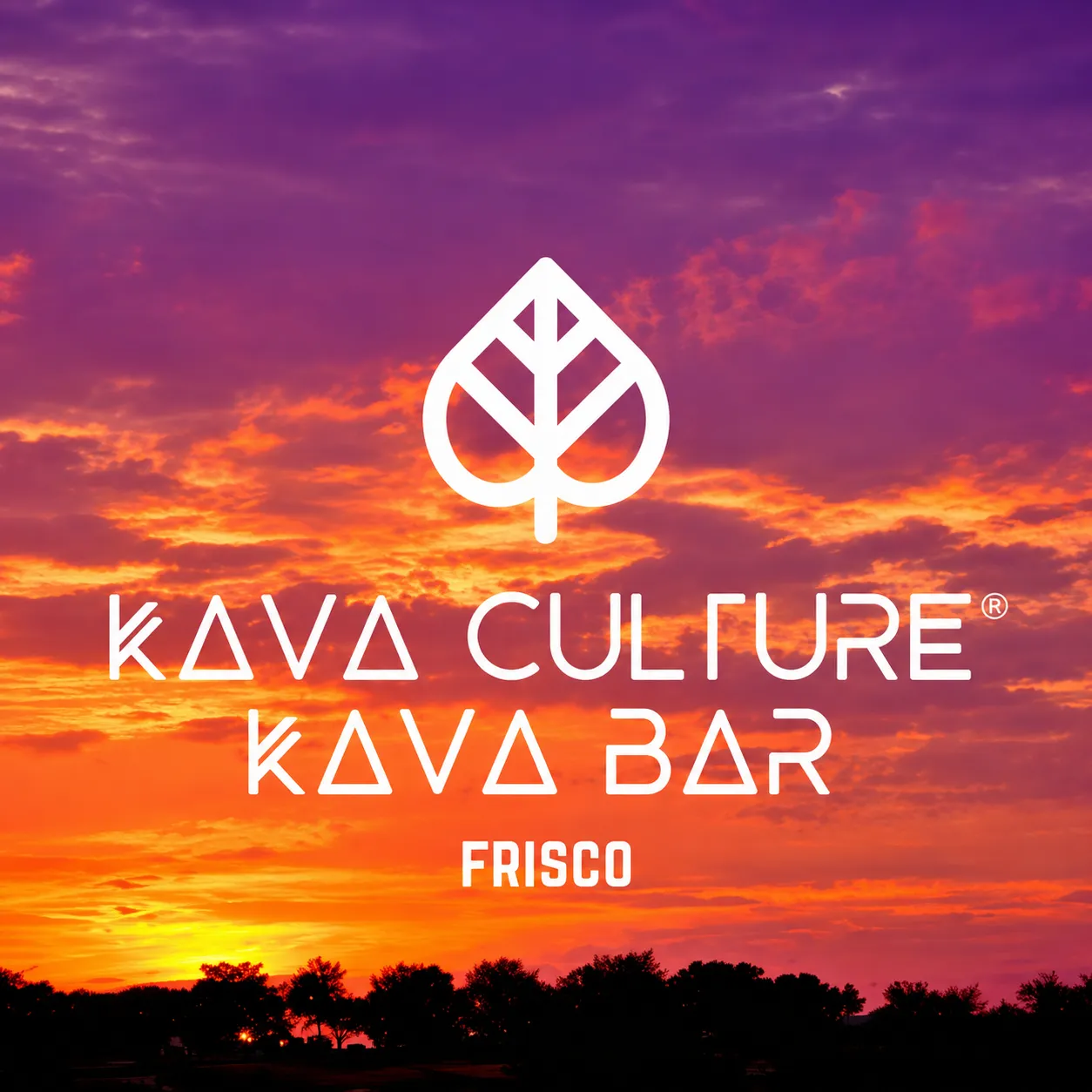 Inside or outside Kava Culture Kava Bar Frisco
