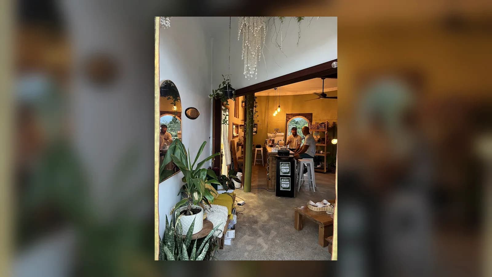 Inside or outside Kava Queen Kava Bar
