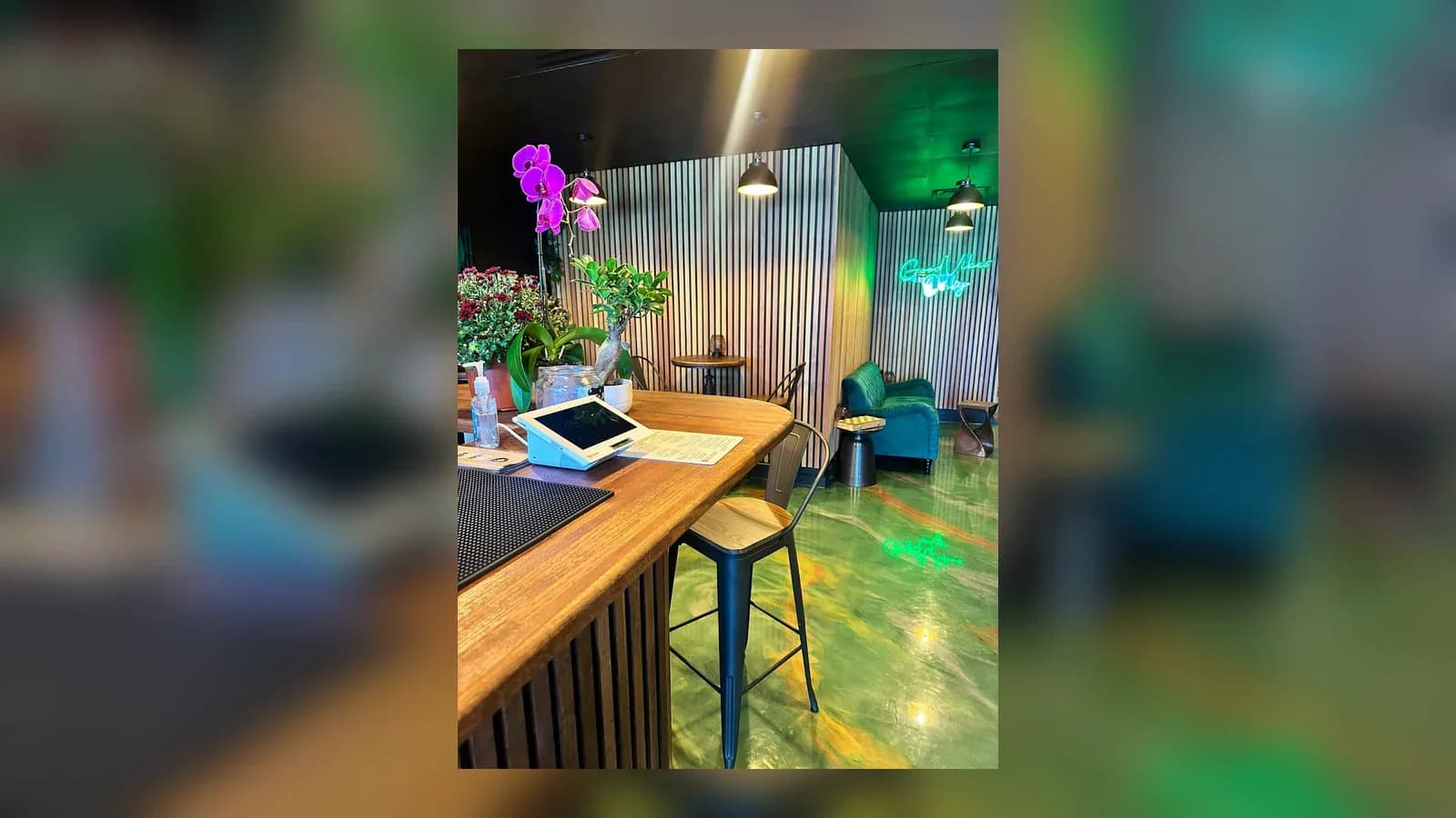 Inside or outside Elixir Kava Bar | North Miami