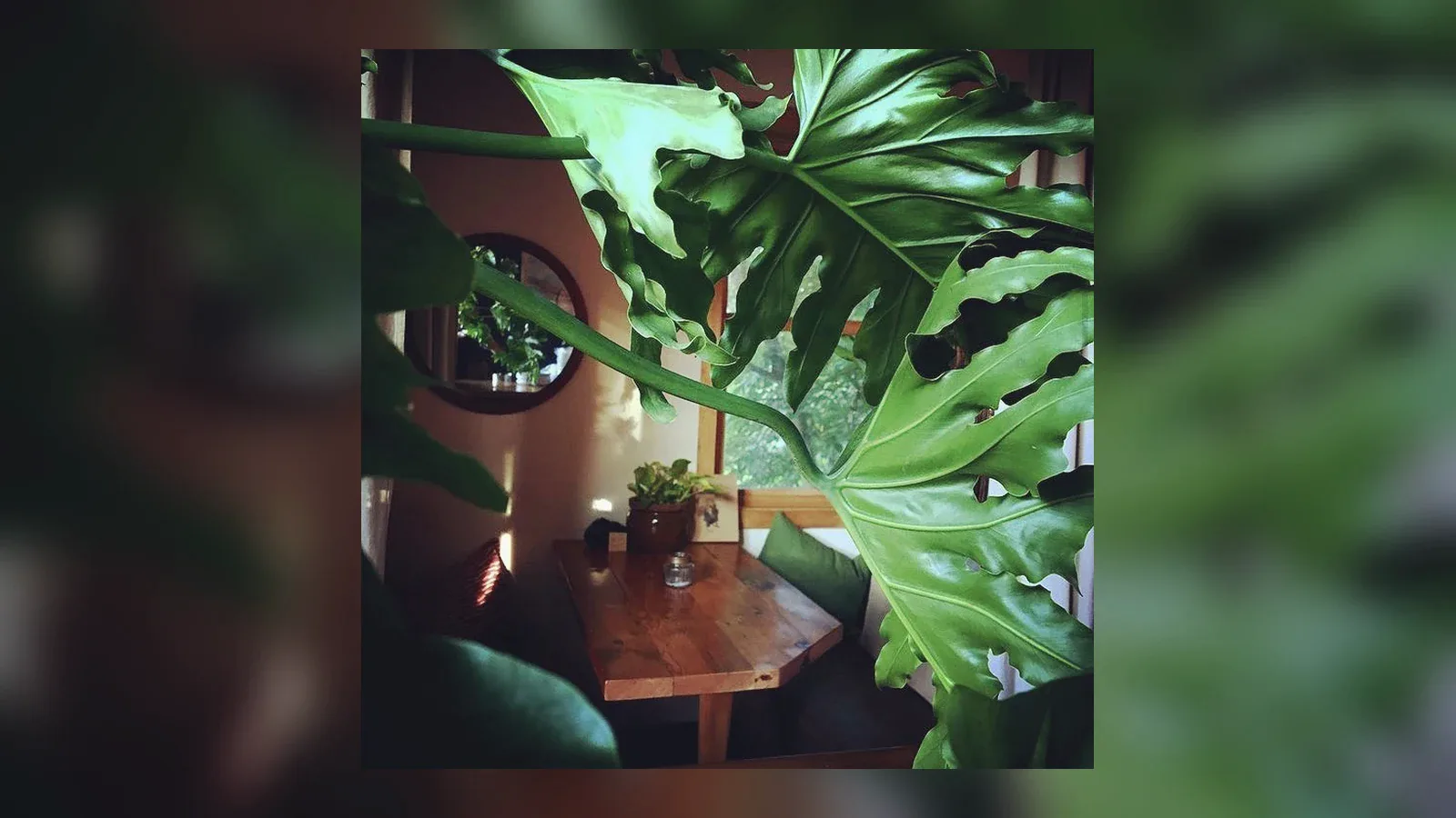 Inside or outside Nalu Kava Lounge Tea House