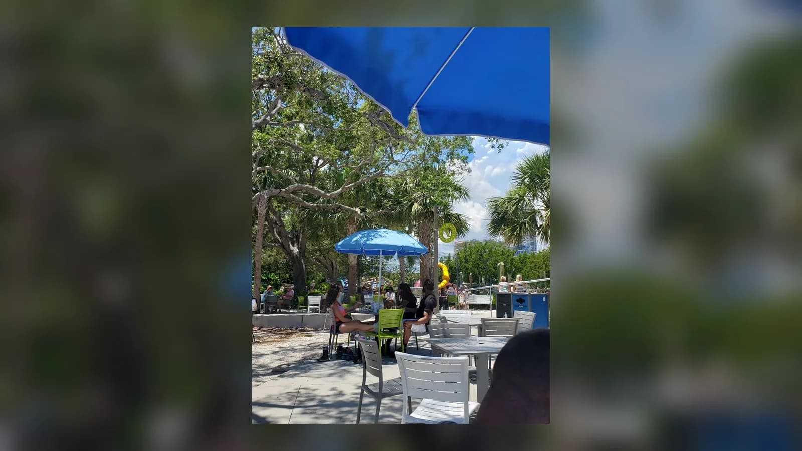 Inside or outside Driftwood Kava & Roastery St. Pete