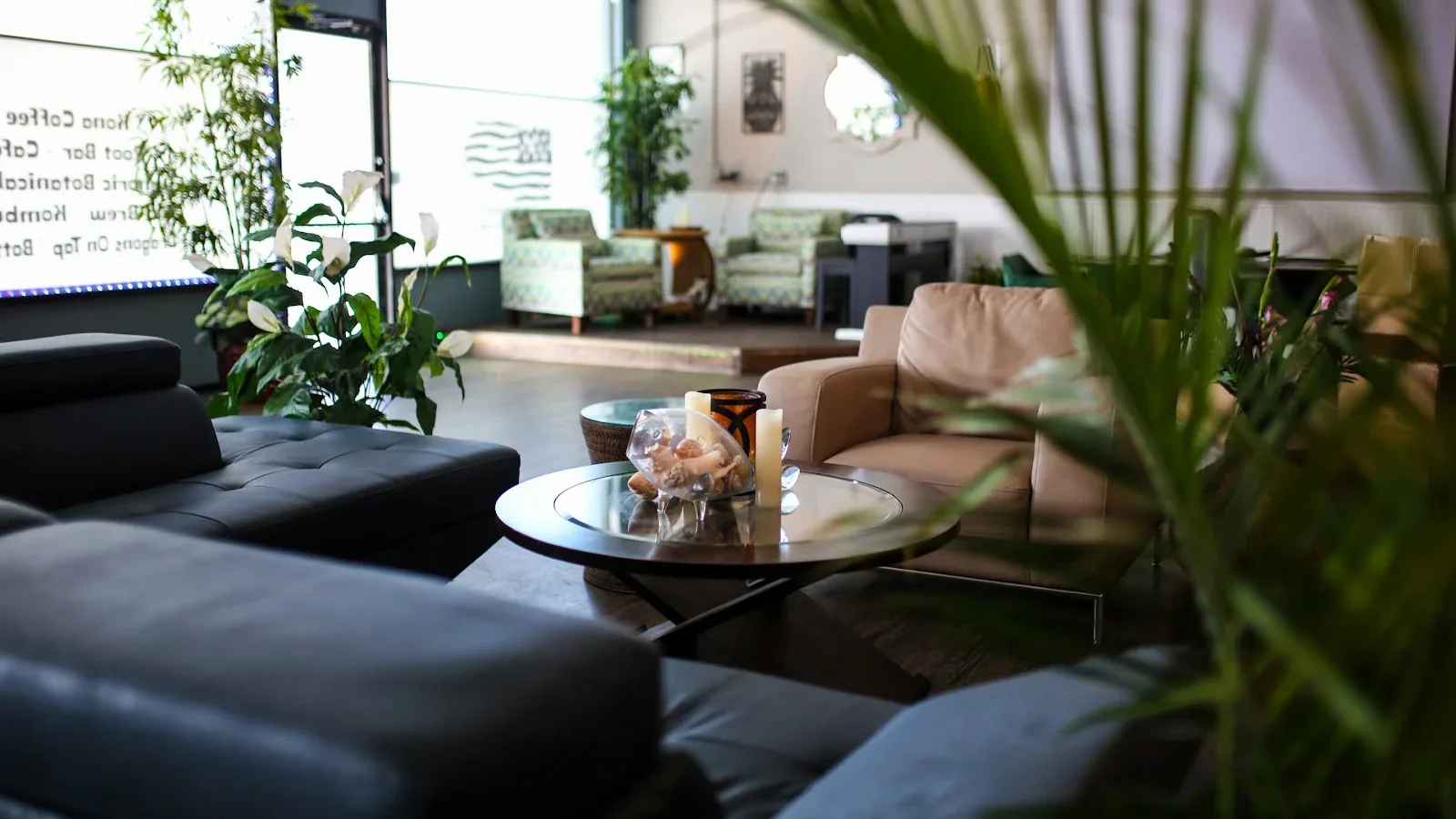 Inside or outside Coastal Kava & Coffee