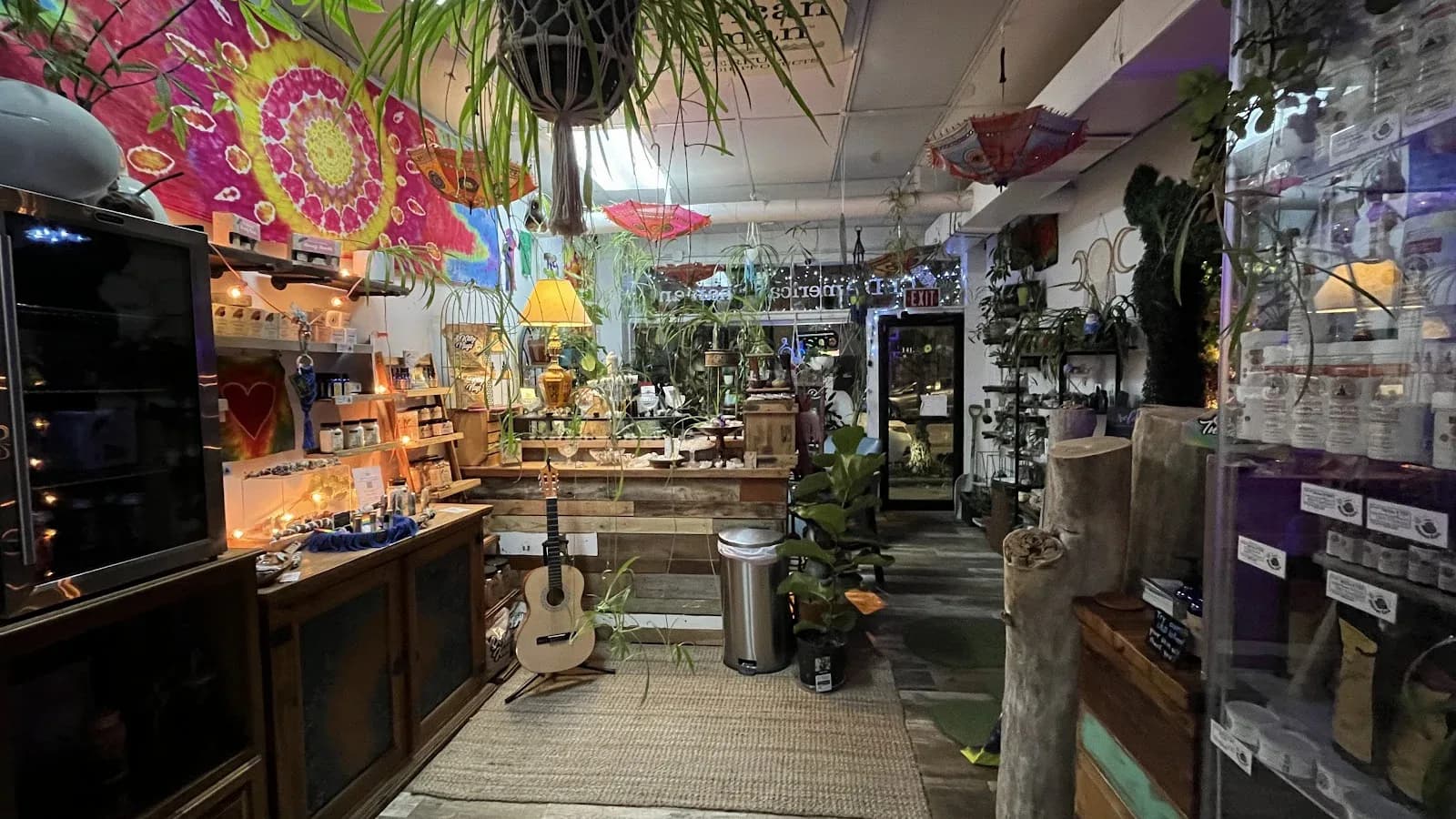 Inside or outside Midtown Kava