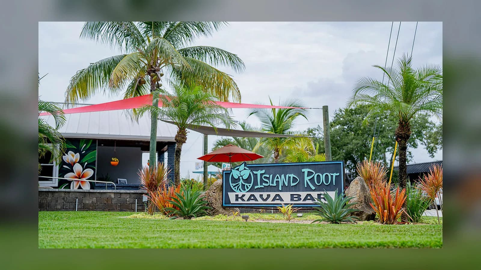 Inside or outside Island Root Kava Bar EGAD