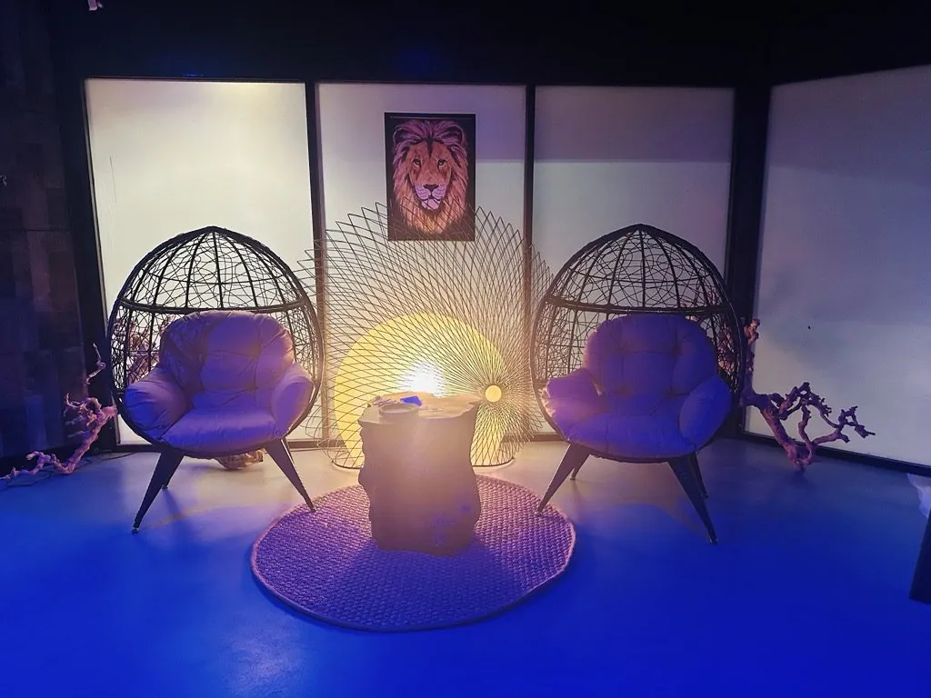 Two hanging wicker chairs face a low table beneath lion artwork and soft colored lights at Tribe Tea Lounge