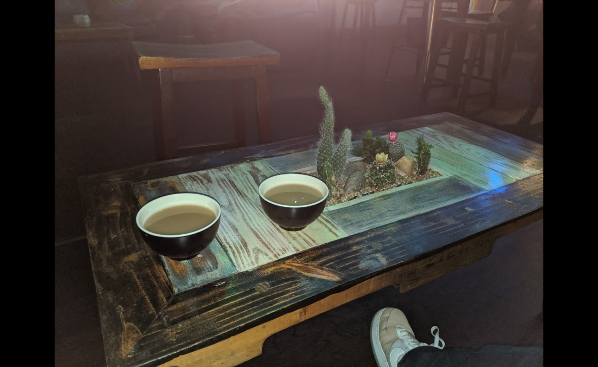Kava Collective Kava Bar Shells