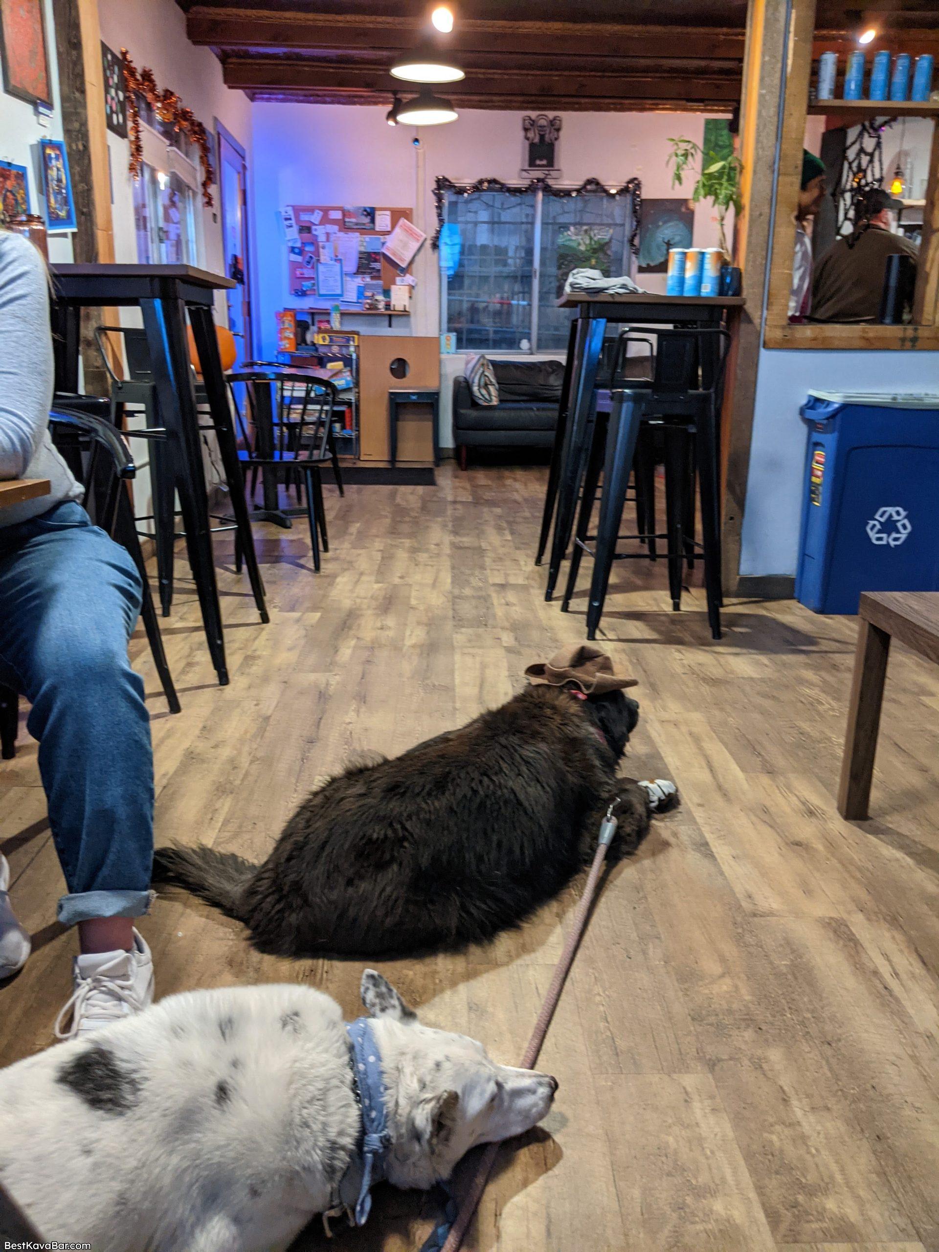 Awa Kava & Coffee seating