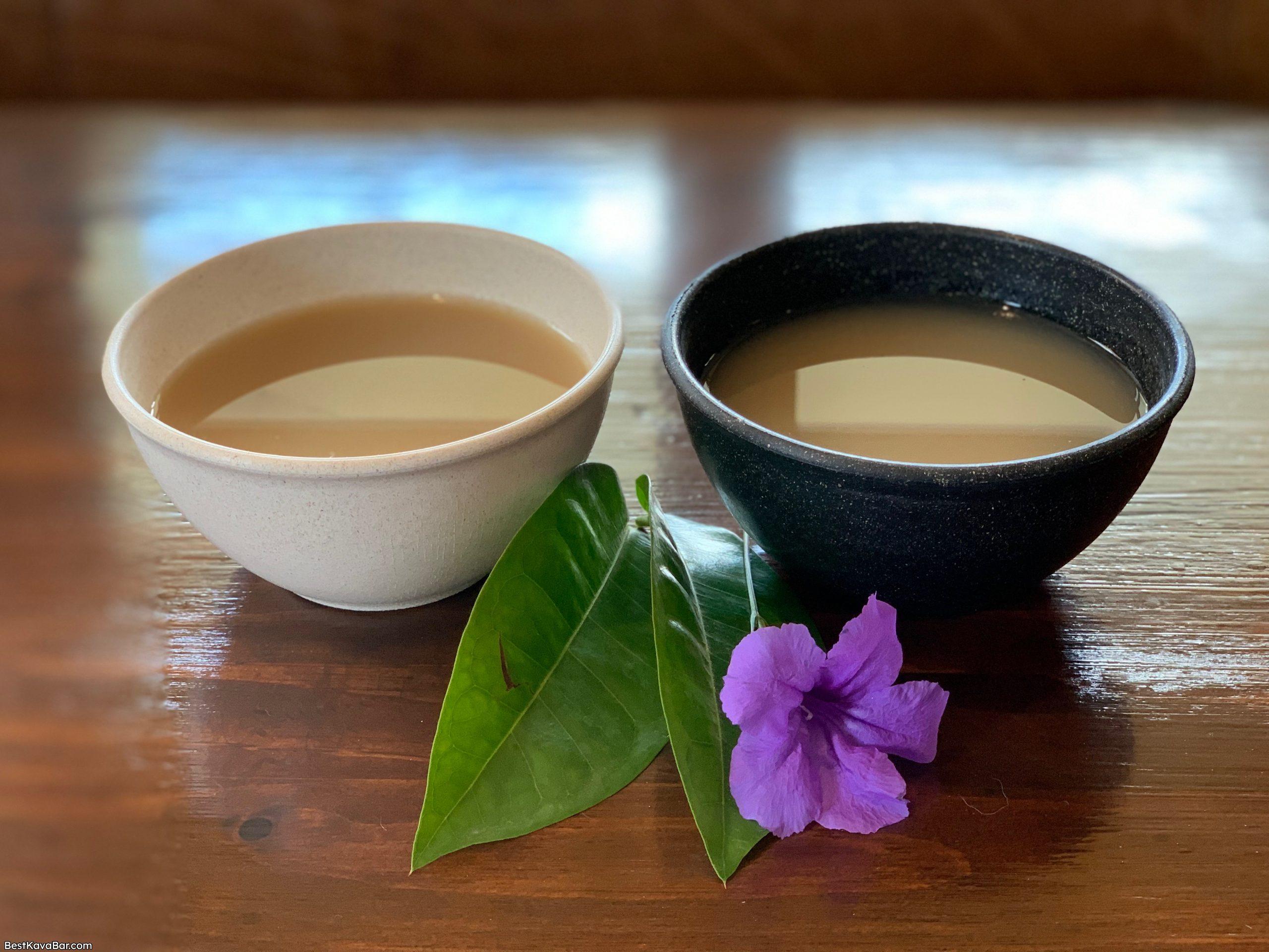 Bula Kavananda Kava Bar & Coffee House shells