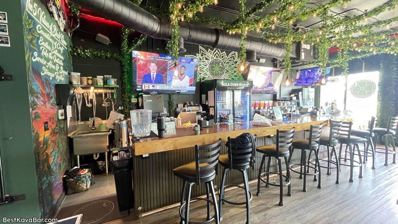 BlackKloverKava 8448 Boynton Beach